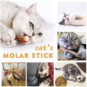 31 PCS Cat Toys