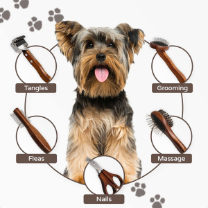 Professional Dog Grooming Kit