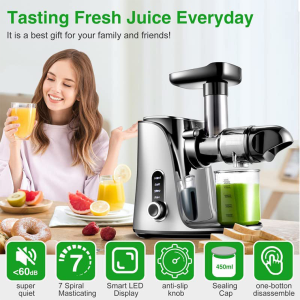 Slow Masticating Juicer Extractor